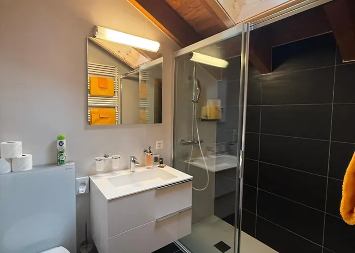 Daire Tarbey Alpine Leukerbad