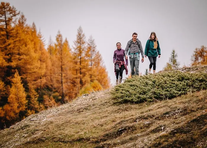 Tarbey Alpine 洛伊克巴德