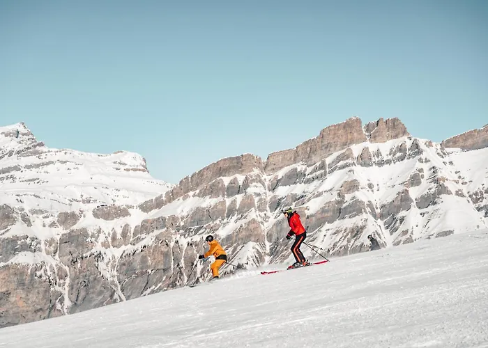 Tarbey Alpine 公寓 *